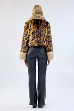 Load image into Gallery viewer, Hidden Tiger Jacket