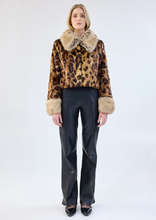 Load image into Gallery viewer, Hidden Tiger Jacket