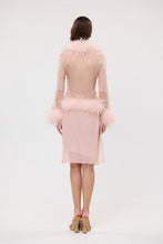 Load image into Gallery viewer, Gigi Sheer Feather Blouse - Blush
