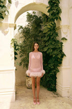 Load image into Gallery viewer, Harlow Sheer Feather Mini Dress - Pale Lilac
